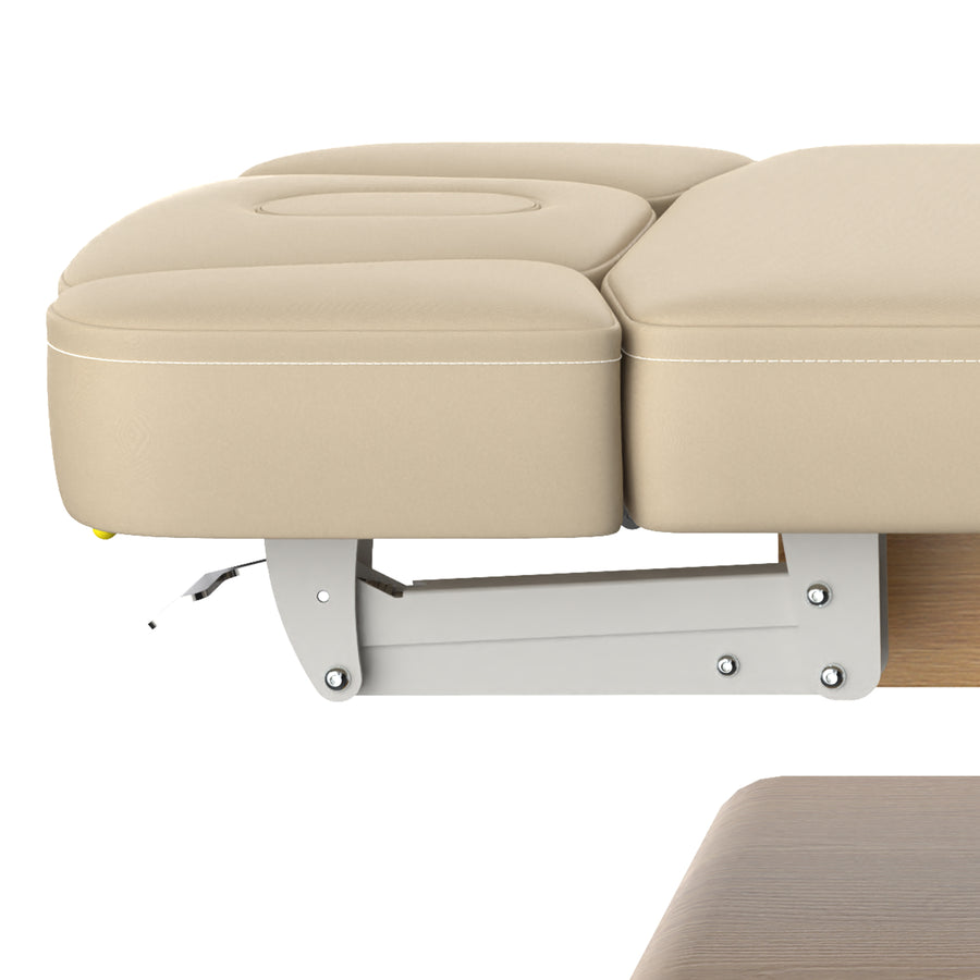 Master Massage 31” Princeton Salon Electric Spa & Massage Table, Oak Base – Premium Electric Medi Spa Treatment Bed
