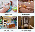 [Presale - 8/23 Sat. PICKUP ONLY, Dallas, TX] Master Massage 31” Heather Salon Dual-Tower Electric Spa Bed