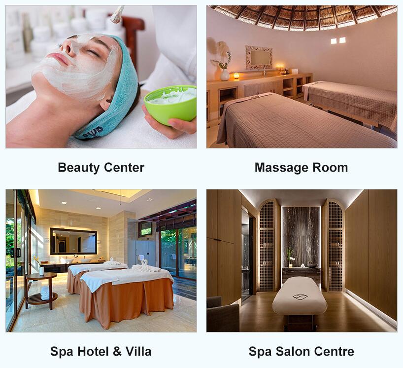 [Presale - 8/23 Sat. PICKUP ONLY, Dallas, TX] Master Massage 31” Heather Salon Dual-Tower Electric Spa Bed