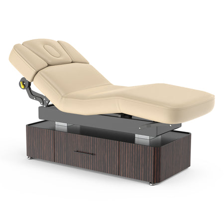 Master Massage 31” Infinity Salon Double-Column Electric Spa & Massage Table, Ebony Veneer – Premium Electric Medi Spa Treatment Bed with a Storage Drawer