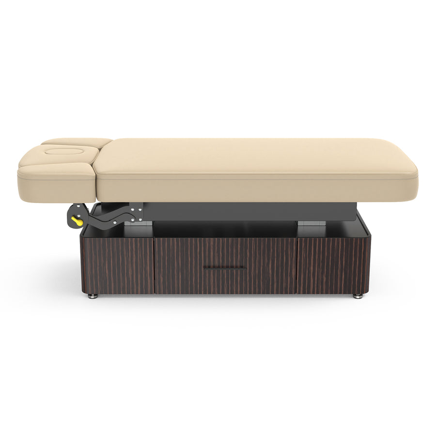 Master Massage 31” Infinity Salon Double-Column Electric Spa & Massage Table, Ebony Veneer – Premium Electric Medi Spa Treatment Bed with a Storage Drawer