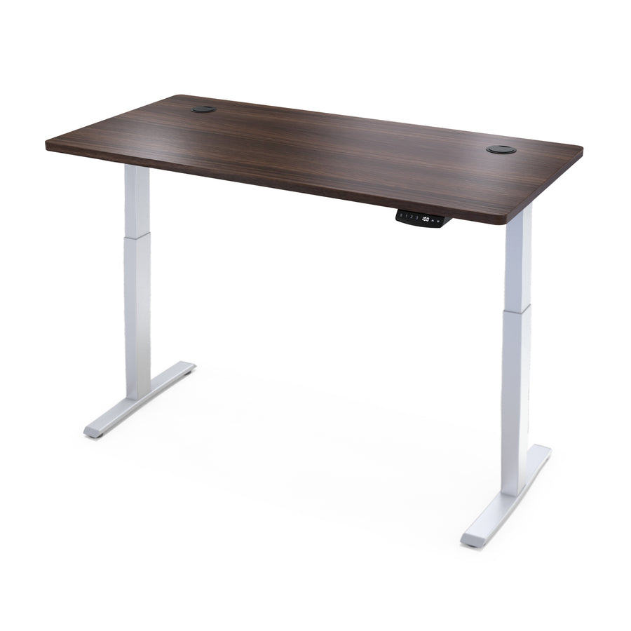 Hi5 Electric Height Adjustable Standing Desks with Rectangular Tabletop (55"x 31.5") for Home Office Workstation with 4 Color Option
