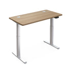 Hi5 Electric Height Adjustable Standing Desks with Rectangular Tabletop (47.25