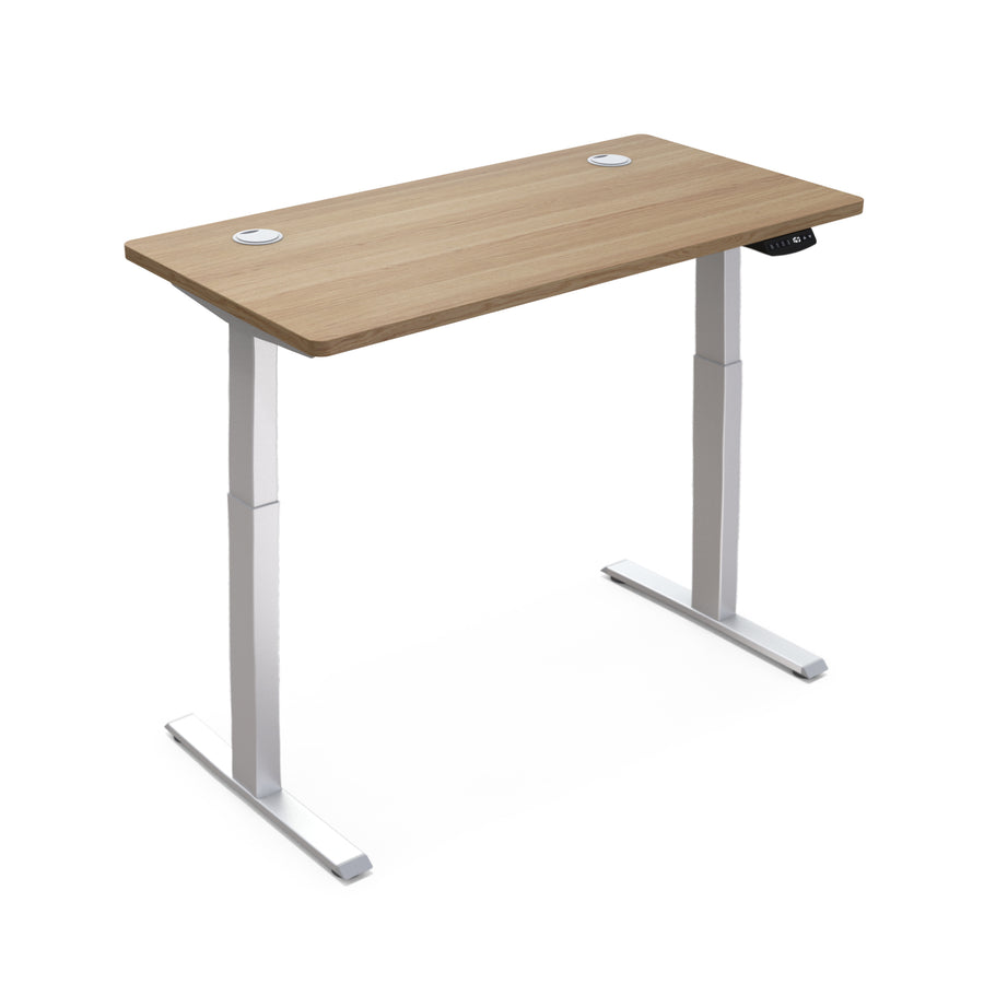 Hi5 Electric Height Adjustable Standing Desks with Rectangular Tabletop (47.25"x 24") for Home Office Workstation with 4 Color Option