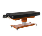 Master Massage® Maxking Comfort Electric Lift Spa Salon Stationary Pedestal Flat Beauty Bed Black